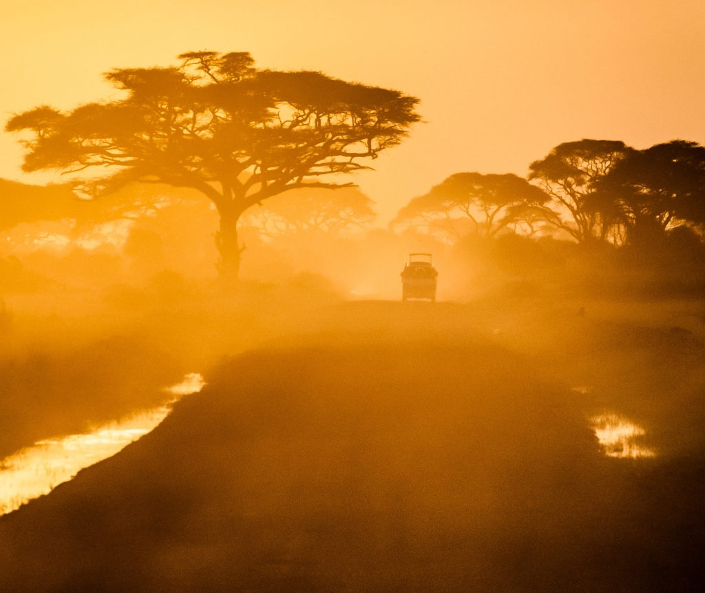 Honeymoon in Tanzania - Sunset Safari Drive 